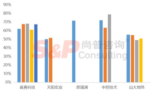 軟件和信息技術服務業企業IPO募投項目設計與審核要點